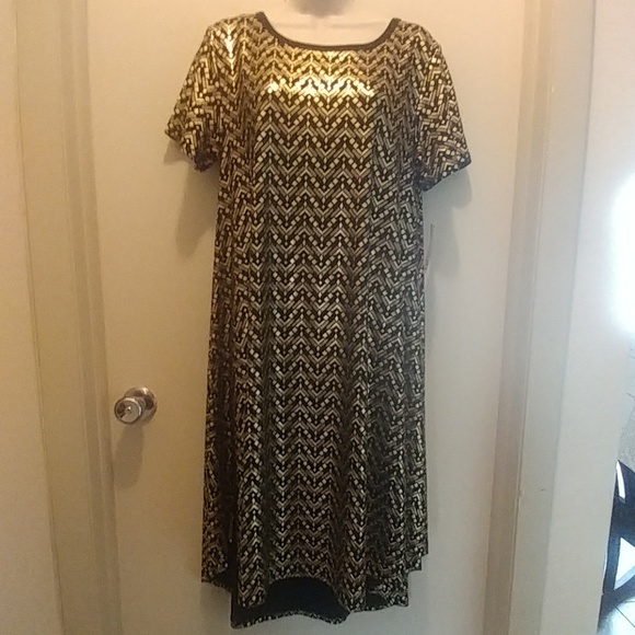 Elegant Lularoe Carly - Picture 1 of 3
